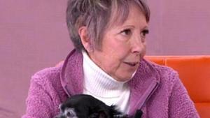 "S’hauria de regular com als EUA"