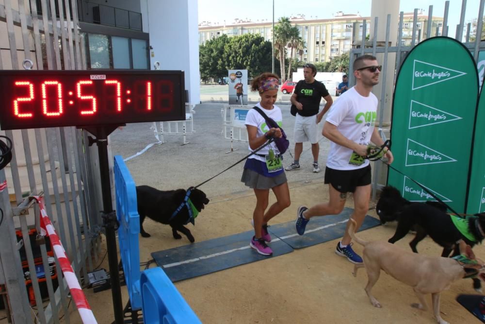 El Parque Huelin ha acogido la primera edición de un evento destinado a las mascotas y a sus dueños, con carreras en diversas categorías, actividades gratuitas y numerosos stands