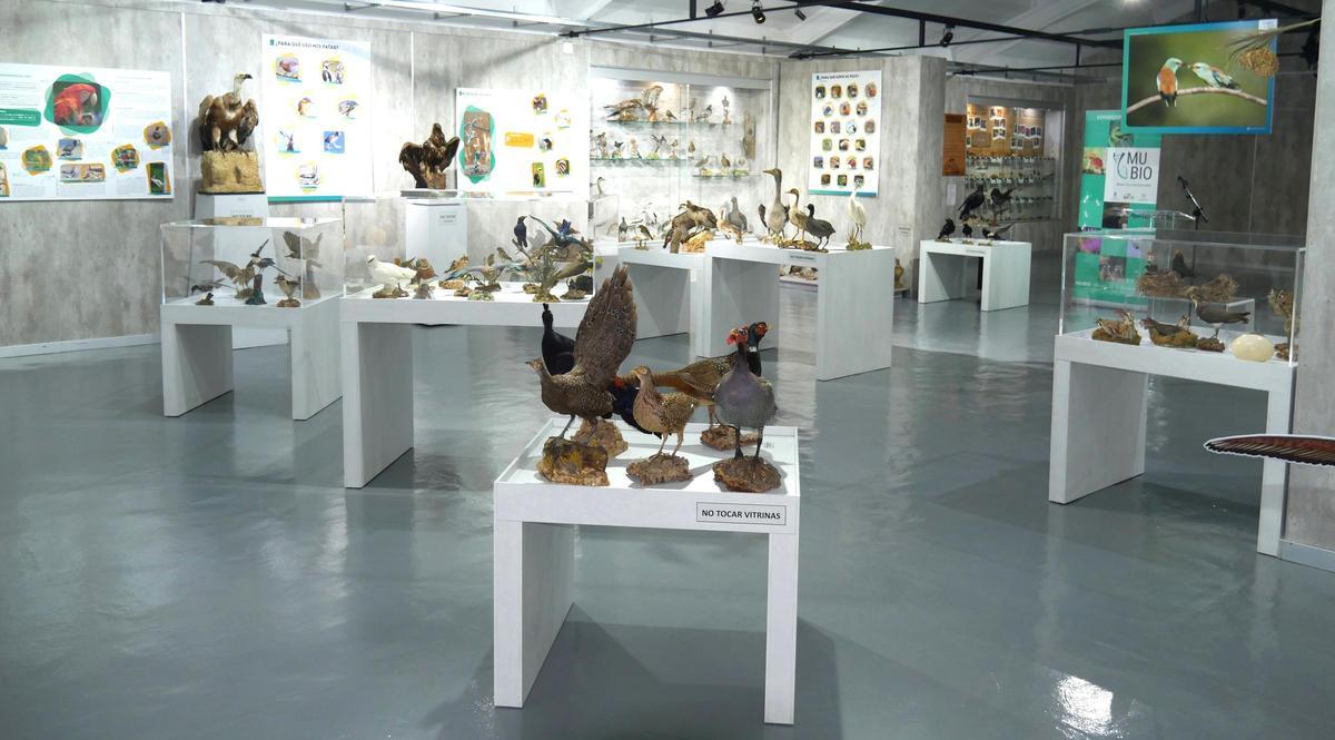 Su objetivo principal es ofrecer al público un recorrido a través del origen, la evolución y las adaptaciones de las aves.