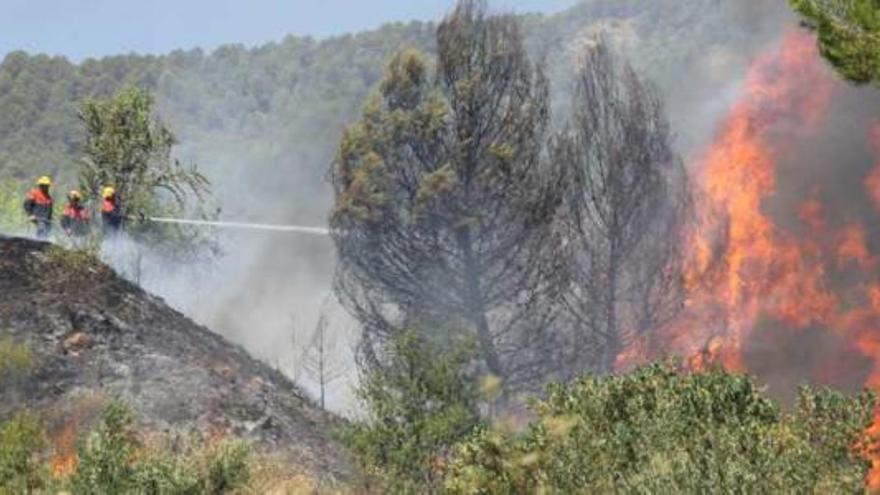 Miembros de los equipos de extinción tratan de sofocar las llamas en la zona de Trencacaps, que llegaron a adquirir proporciones importantes.