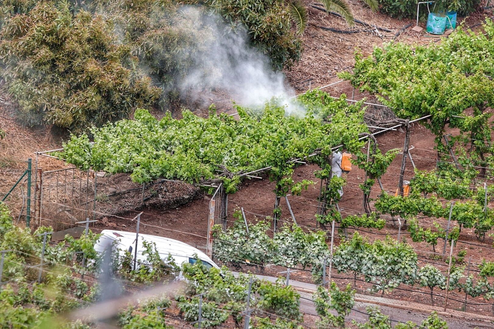 Sector vitivinícola. Bodegas Marba