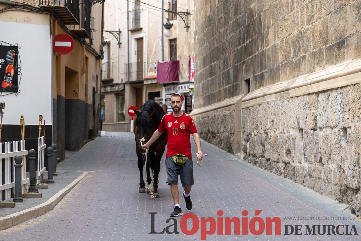 Control veterinario de los Caballos del Vino en Caravaca