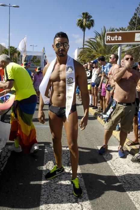 CABALGATA GAY PRIDE