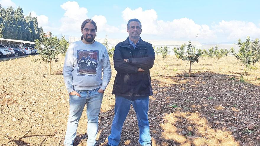 Dos agricultores cuentan su experiencia positiva con los parques fotovoltaicos: «El complemento de las placas permite que la finca sea viable»