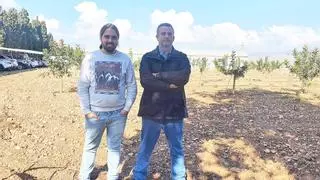 Dos agricultores cuentan su experiencia positiva con los parques fotovoltaicos: «El complemento de las placas permite que la finca sea viable»