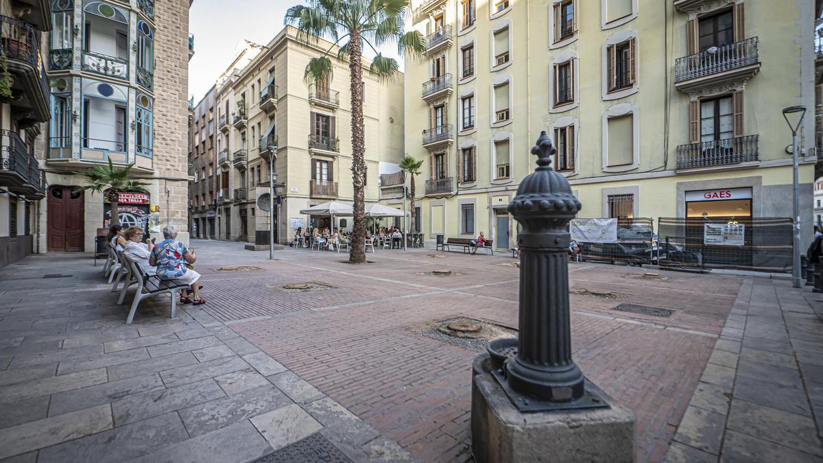 La única palmera que ha quedado en pie en la plaza Trilla, en Barcelona, tras talarse ocho en los últimos días.