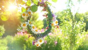 El equinoccio es un momento para celebrar el renacimiento de la naturaleza y para conectarnos con nuestra propia energía vital.