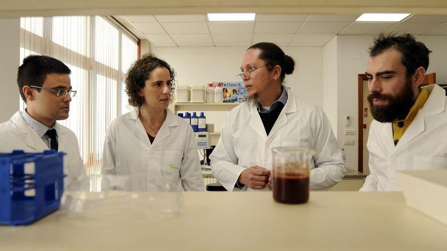 Representantes de las cuatro pymes implicadas en el proyecto, en el laboratorio de Proquideza. // Bernabé/Javier Lalín