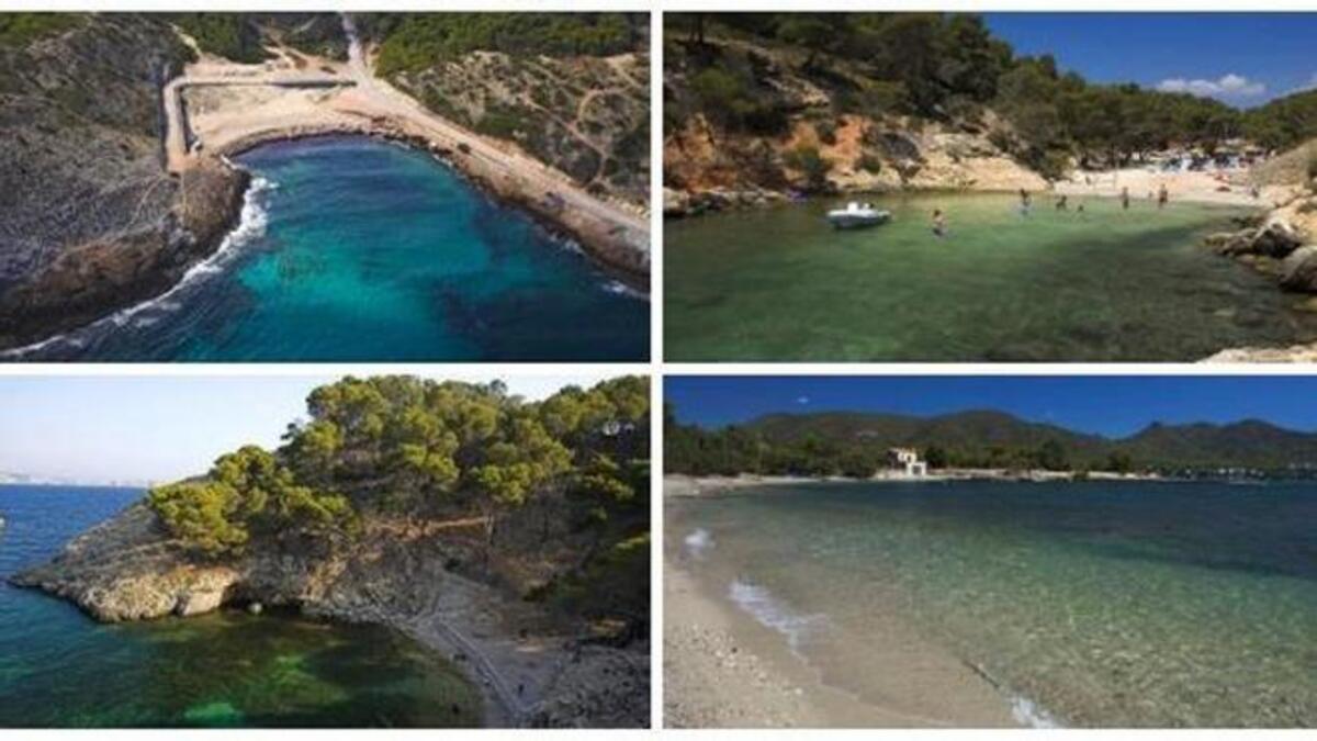 Playas en Mallorca con pinar.