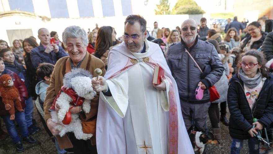 VÍDEO: Así fue la bendición de las mascotas en Gijón