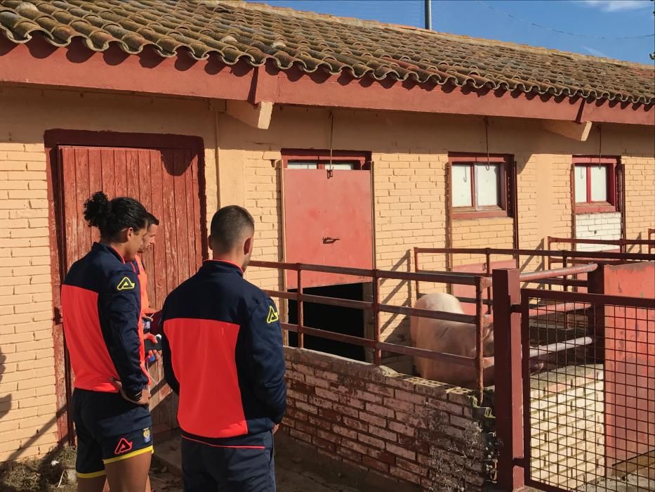 Entrenamiento de la UD Las Palmas en Huesca