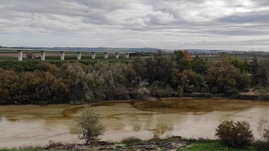 Investigan un vertido incontrolado en el Guadalquivir a su paso por Palma del Río