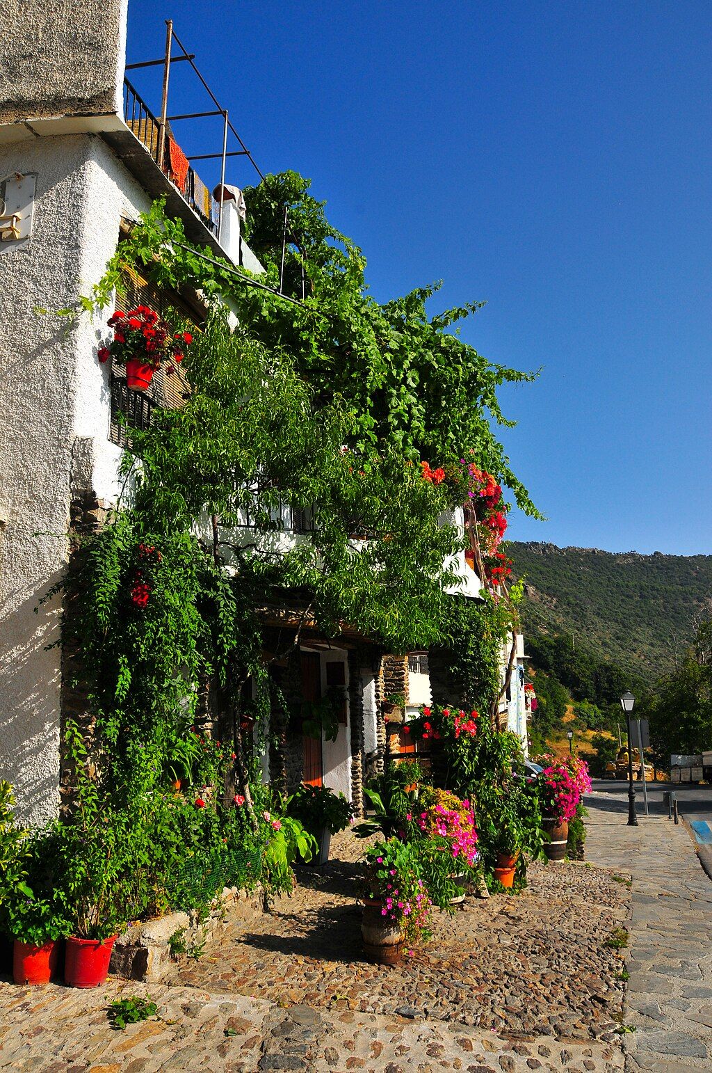 Casa de Bubión decorada con la sierra de fondo