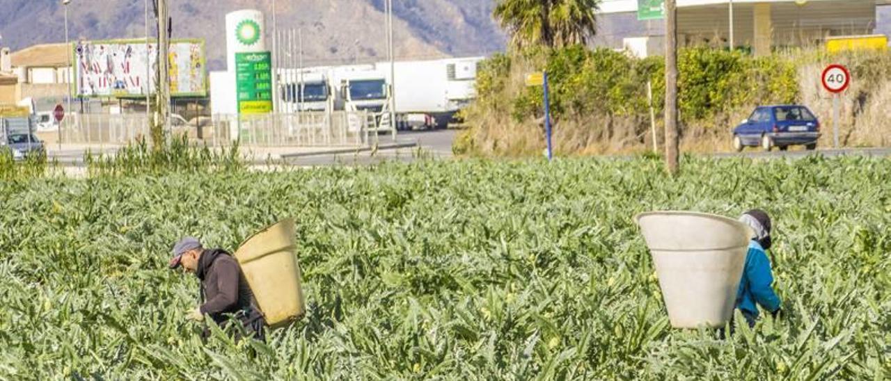 Los regantes exigen poder comprar agua a otras cuencas