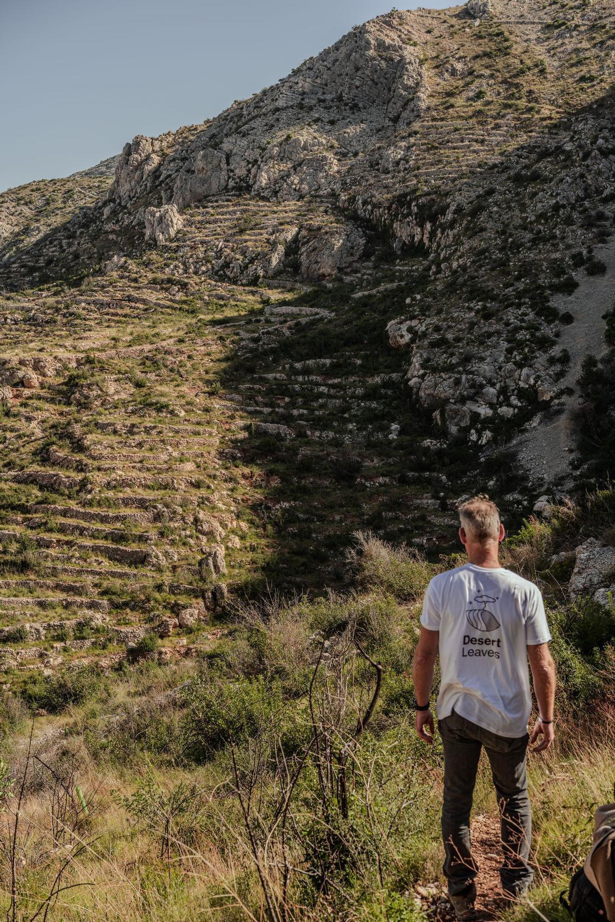 Así renacerá el Alto Mijares tras el gran incendio: más de 8.000 árboles para crear un bosque resistente al fuego. Así renacerá el Alto Mijares tras el gran incendio: más de 8.000 árboles para crear un bosque resistente al fuego.