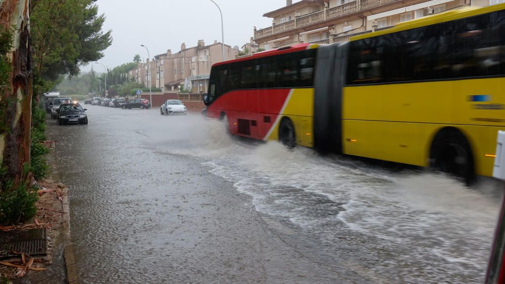 Überschwemmungen und umgestürzte Bäume auf Mallorca.