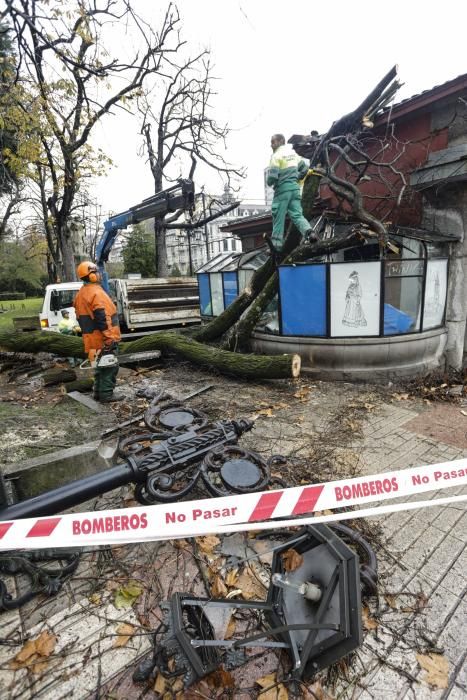 Destrozos en El Escorialín