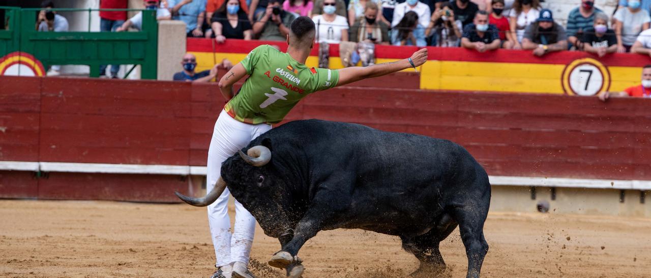 Aarón grande dejó prestancia de su gran momento con ajustados y medidos quiebros, de auténtica categoría.