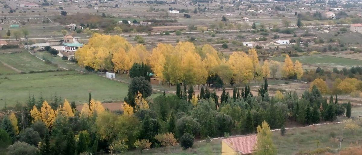 El bar d’un càmping municipal de Castelló anuncia que no demana el passaport covid El bar d’un càmping municipal de Castelló anuncia que no demana el passaport covid