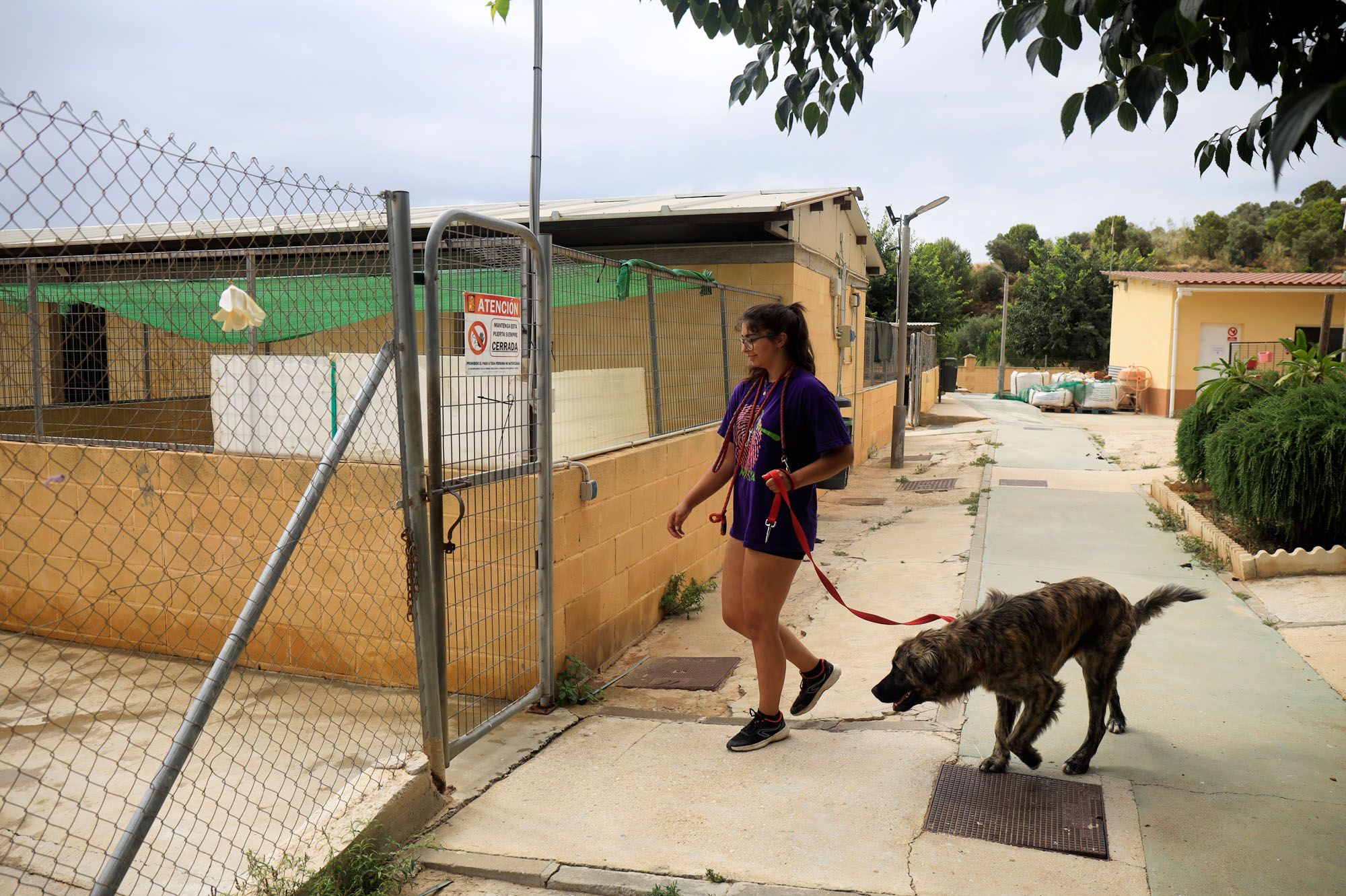 Estado de la Protectora de Animales de Málaga en julio de 2022