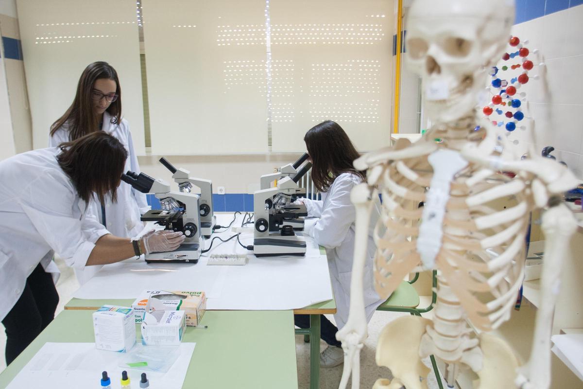 Clase practica de biología en un laboratorio