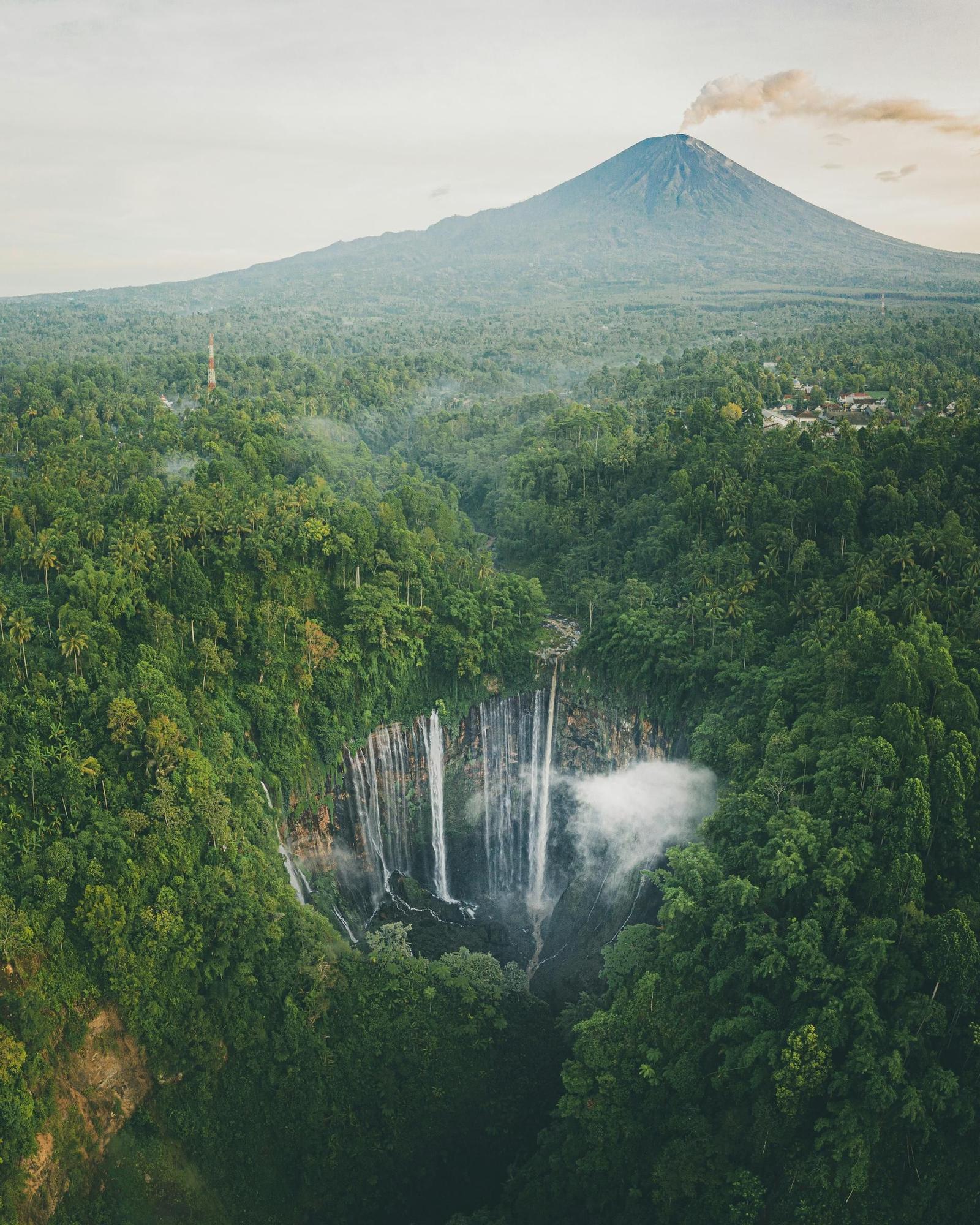 Los bosques se seguirán explorando para encontrar el tigre de Java.