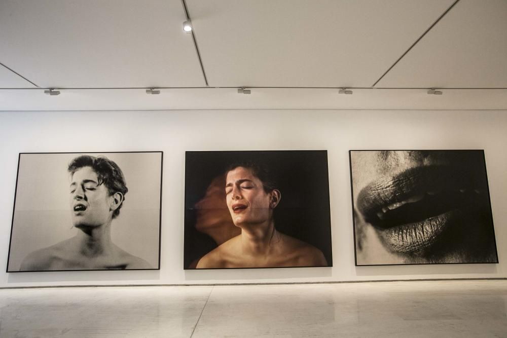 El MACA inaugura la exposición Mírame. Retratos en la colección La Caixa de Arte Contemporáneo