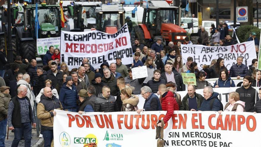 Resignación y temor a la competencia en el campo asturiano, y acusaciones entre la clase política ante la aplicación inminente del acuerdo con Mercosur
