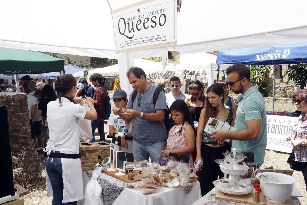 I Feria Vegana en Valencia