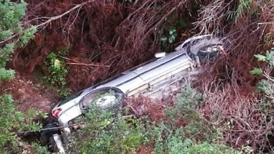 El cachorro rescatado ayer por los bomberos tras caer a un barranco el coche de su dueño en Callosa d&#039;en Sarrià. A la derecha el vehículo siniestrado.