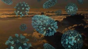 Los científicos confirmaron la presencia de bacterias y hongos potencialmente dañinos para el ser humano en la atmósfera, entre los 1.000 y los 3.000 metros de altitud.