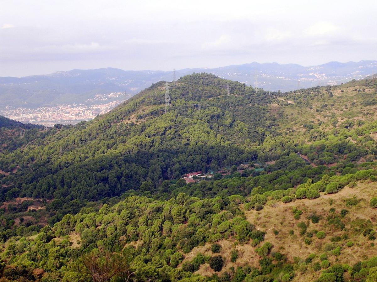 Turó de la Coscollera, Parque natural de la Sierra de Collserola
