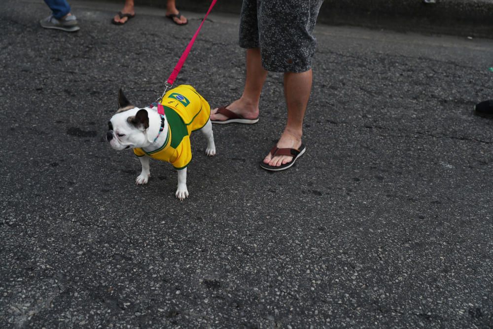 Los seguidores de Bolsonaro celebran su victoria