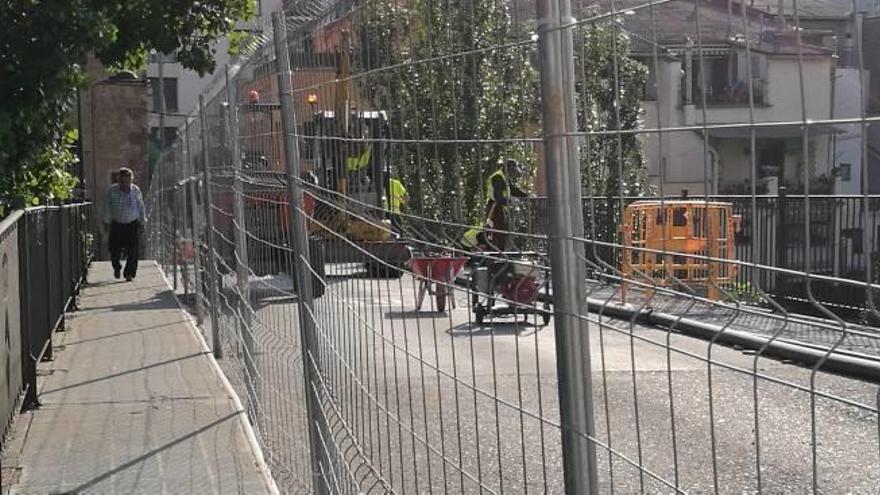 Un vianant travessant el pont per una de les voreres, aquesta setmana, entre operaris treballant