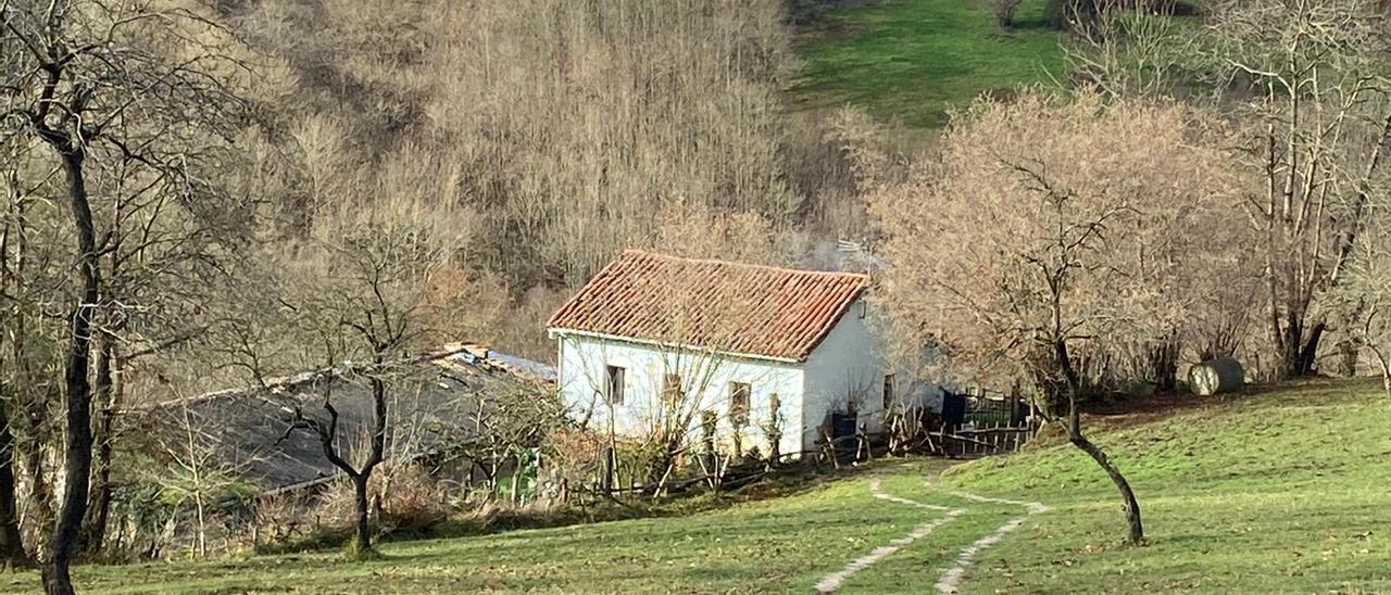 La vivienda asaltada