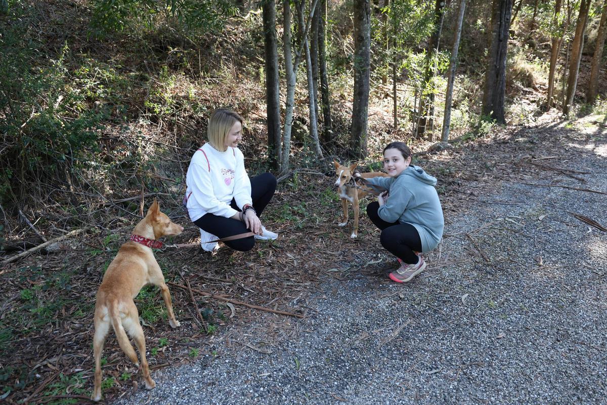 Un paseo por una buena causa: la protectora Os Biosbardos y FARO se unen en la suscripción solidaria