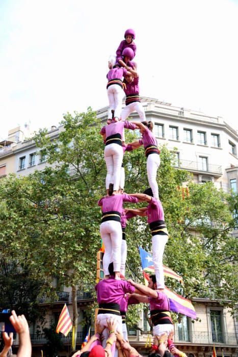 La manifestació de la Diada omple la Diagonal