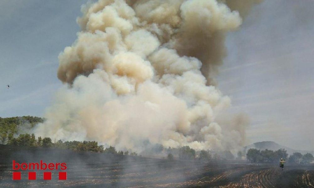 Incendi forestal a Bellprat