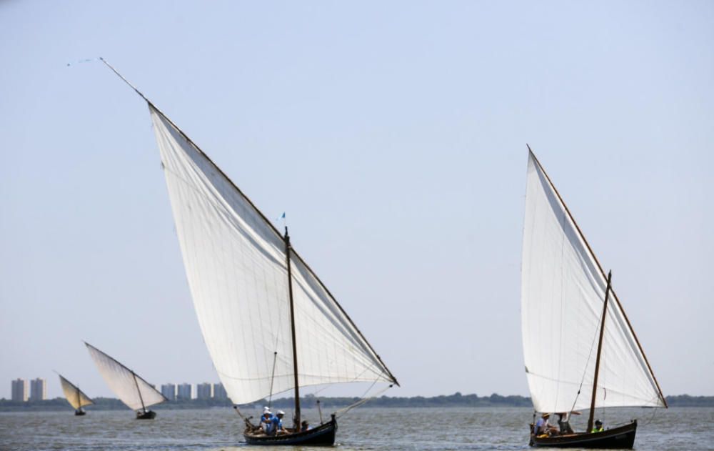 Regata-exhibición de vela latina en l'Albufera