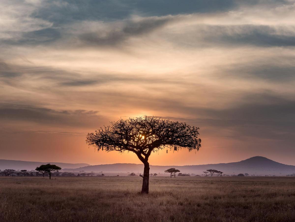 Tanzania alberga paisajes únicos