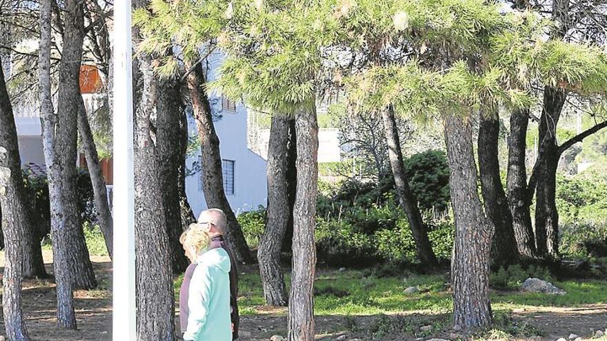 Medio Ambiente pasa la pelota a los ayuntamientos ante la procesionaria