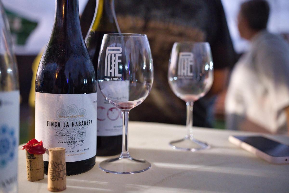 Tenerife Phe Festival suma yoga, vinos locales y visitas gratuitas al Observatorio del Teide