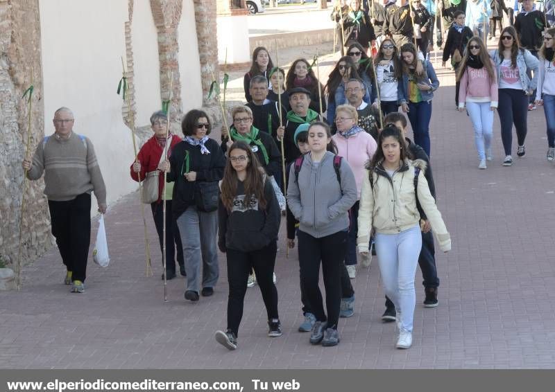 GALERÍA DE FOTOS -  Romería Magdalena 2014 (1)