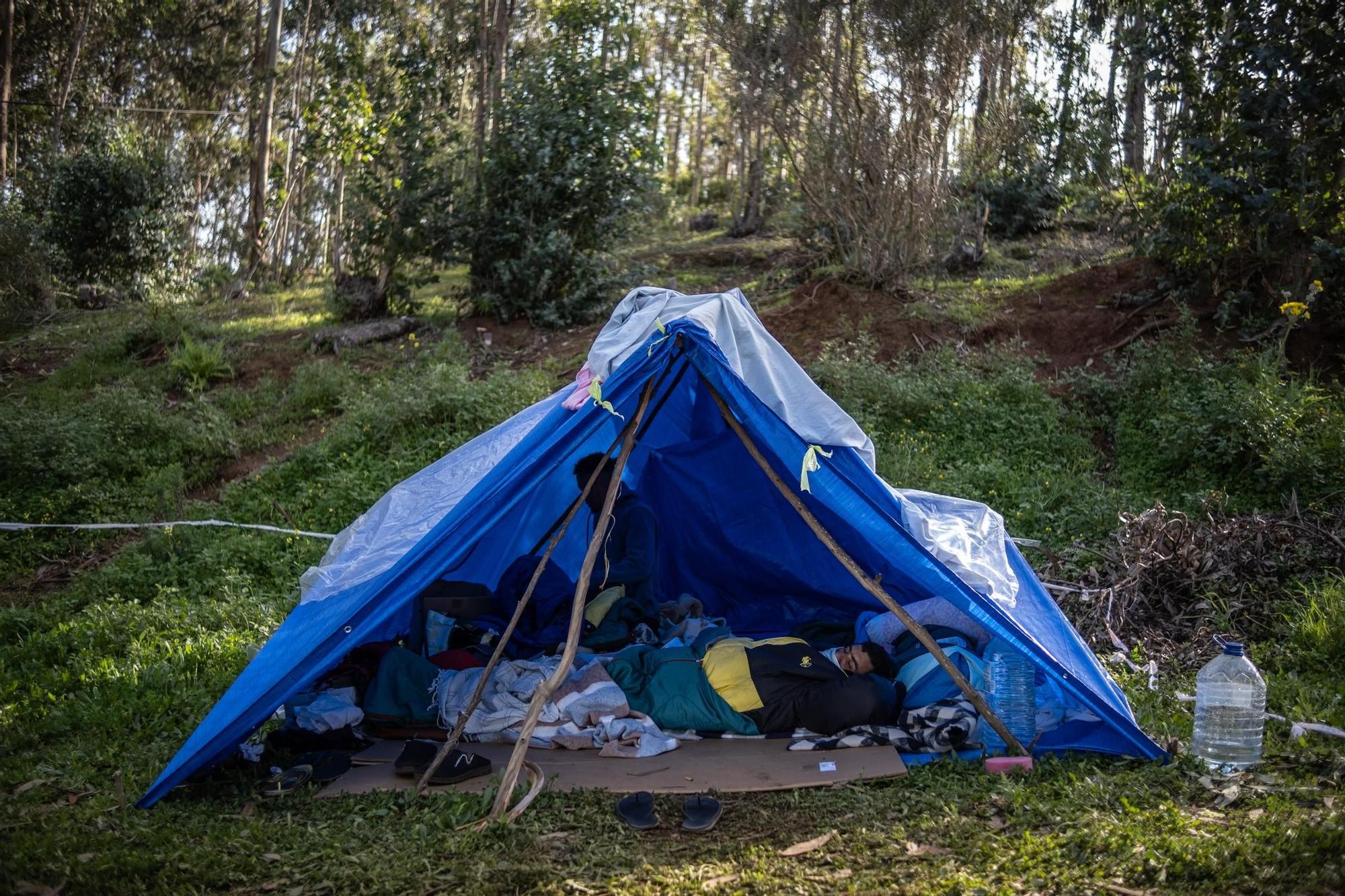 Visita de la eurodiputada Sira Rego al campamento de Las Raíces.