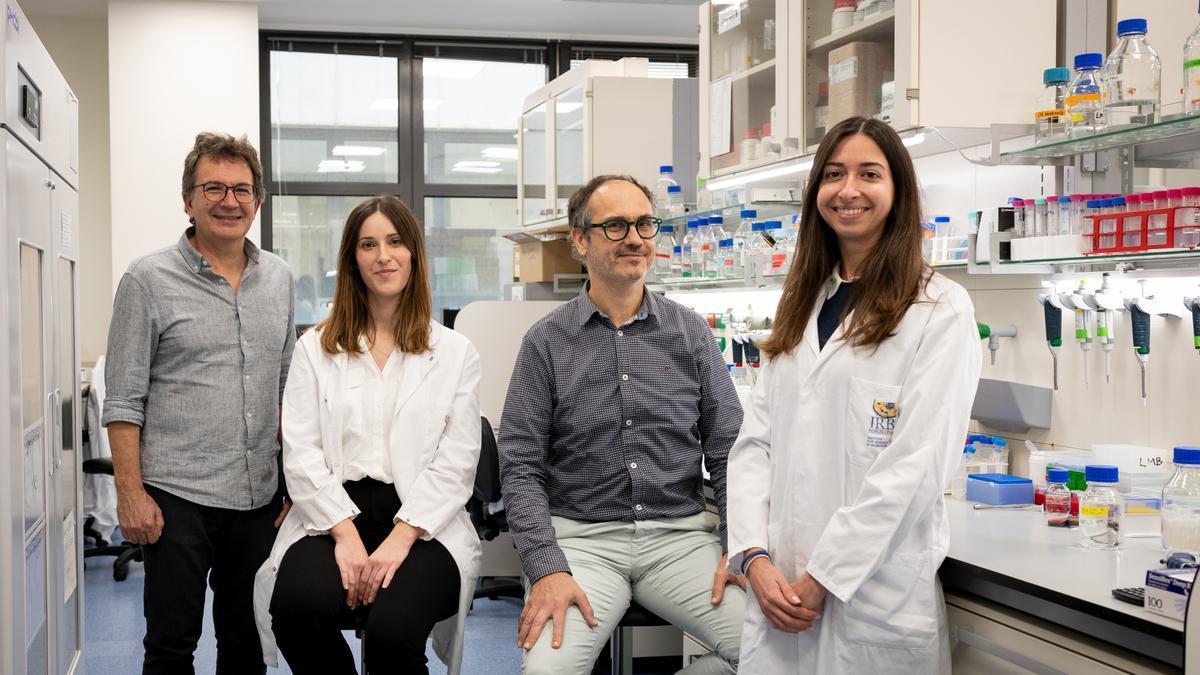Los investigadores del IRB Barcelona que han participado en la investigación sobre el origen del autismo