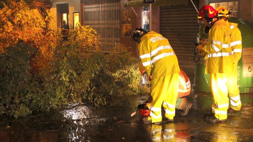 Un árbol cae en Xàtiva y rompe el cristal de un turismo