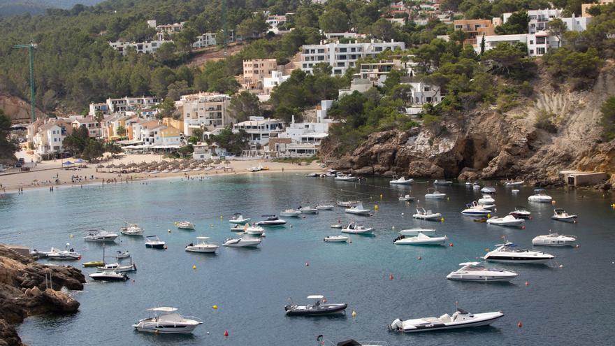 El 55% de la posidonia, muerta en algunas zonas de Cala Vedella