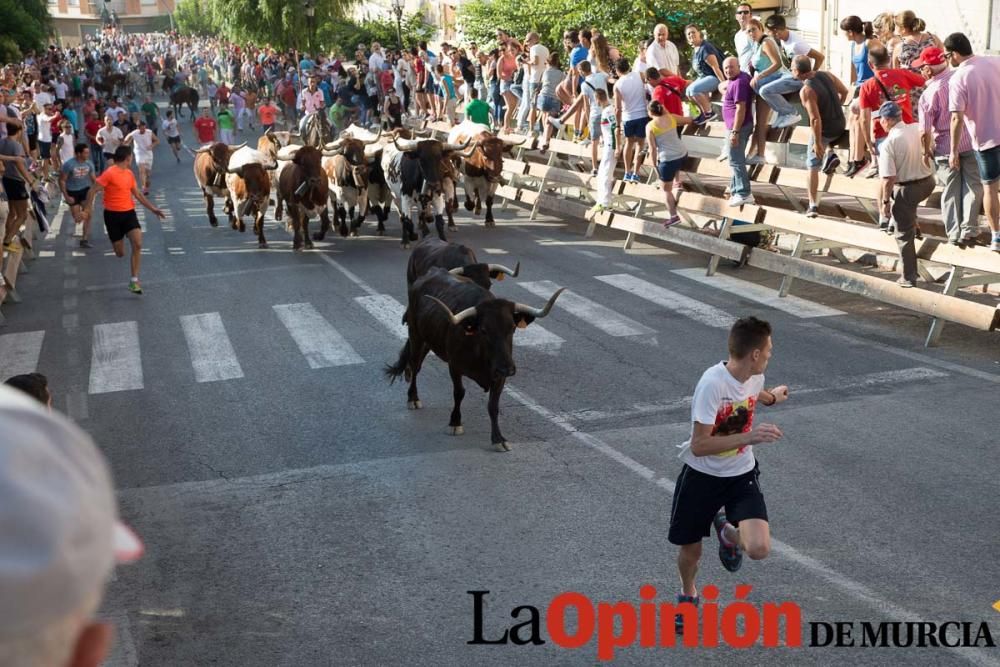 Segundo encierro Fiestas de Moratalla