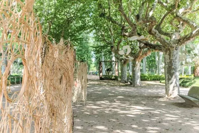Consulta les millors imatges del llibre "Girona, Temps de Flors 2018"