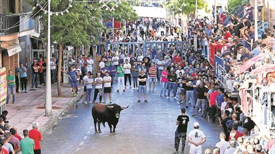 Una vila entregada disfruta de una tarde con cuatro astados